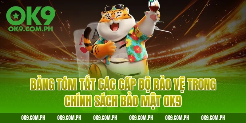 Bảng tóm tắt các cấp độ bảo vệ trong chính sách bảo mật OK9