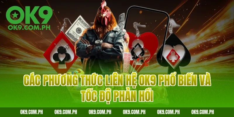 Các phương thức liên hệ OK9 phổ biến và tốc độ phản hồi