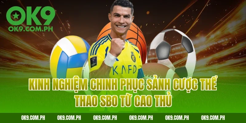 Kinh nghiệm chinh phục sảnh cược thể thao SBO từ cao thủ
