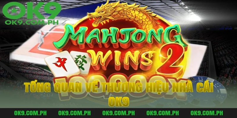 Tổng Quan Về Thương Hiệu Nhà Cái OK9